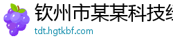 钦州市某某科技经销部